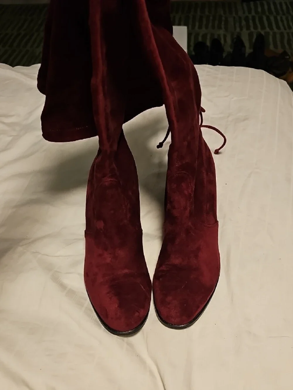 Over-the-Knee Block Heel Boots in Burgundy Suede
